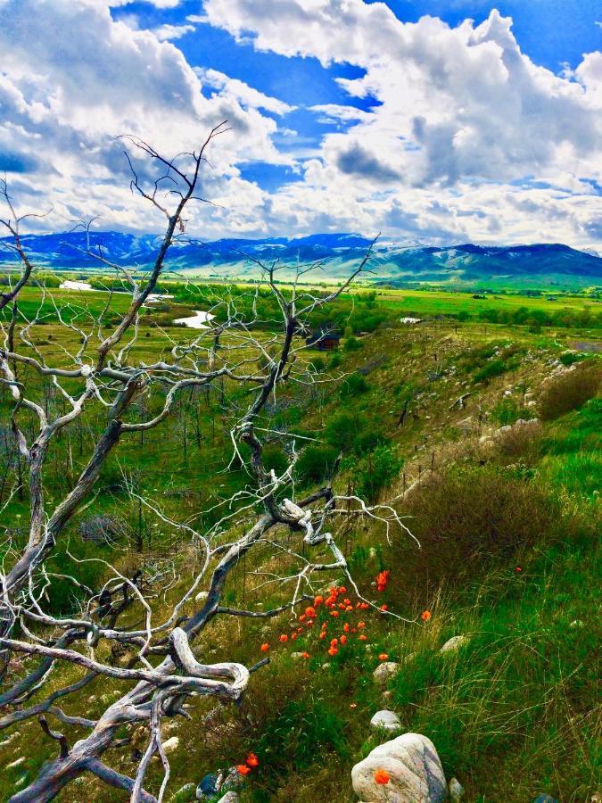 Pine Creek Cabin Livingston Montana 외부 사진