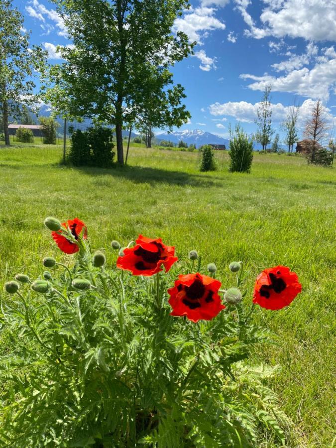 Pine Creek Cabin Livingston Montana 외부 사진