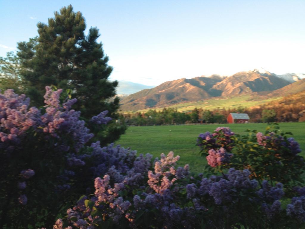 Pine Creek Cabin Livingston Montana 외부 사진