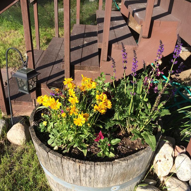 Pine Creek Cabin Livingston Montana 외부 사진