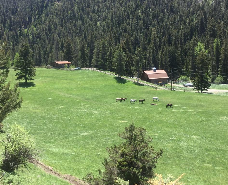 Pine Creek Cabin Livingston Montana 외부 사진